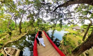 Giardini_Hiroshima_light